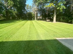 Charlene E.'s Cleanups service result