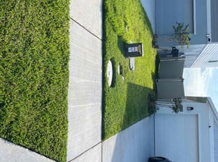 Jorden E.'s lawn maintenance service result
