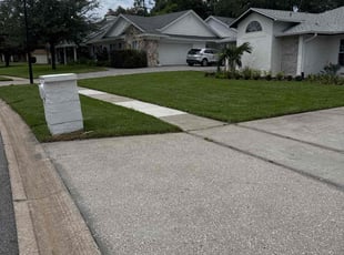 Tom B.'s lawn maintenance service result