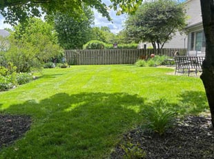 Ronnie S.'s lawn care service result