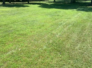 Cindy W.'s lawn care services service result