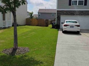 Gary S.'s turf care service result