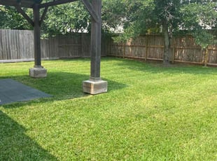 Francisca M.'s grass maintenance service result