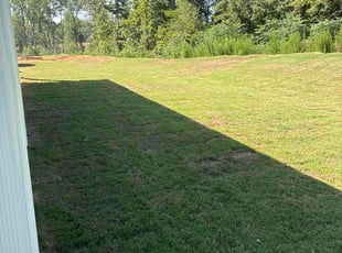 Frankie R.'s lawn care services service result