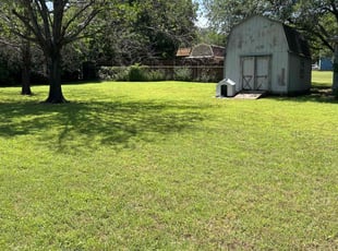 Naysha H.'s grass cutting service result