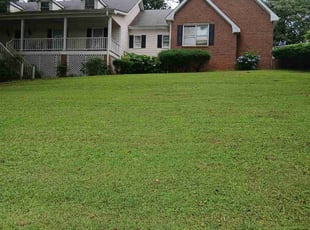 Amber A.'s lawn care service result