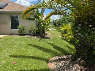 Renee M.'s lawn care services service result