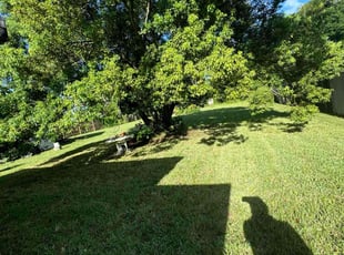 Libby C.'s turf maintenance service result