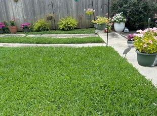 Michelle R.'s lawn care service result