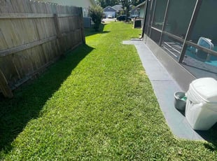 Mario C.'s lawn care service result
