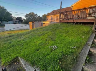 Thao P.'s lawn care service result