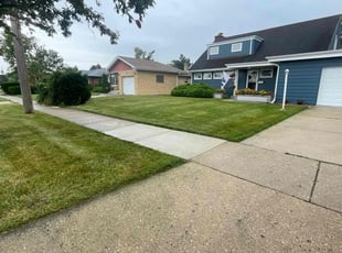 Thaddeus Z.'s lawn maintenance service result