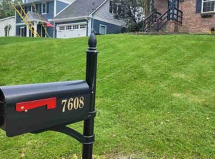 Shazeen F.'s lawn care service result