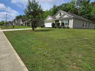 Hayden W.'s lawn maintenance service result