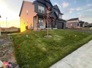 Linda B.'s Cleanups service result