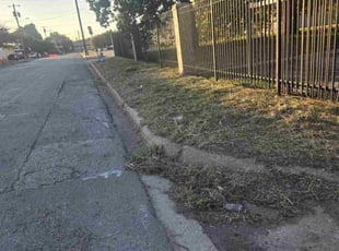 Oswaldo M.'s Long Grass Cleanup service result