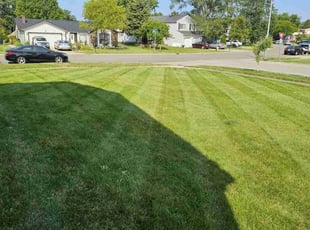 Michael J.'s lawn service service result