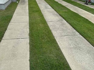 Sandra T.'s lawn care service result