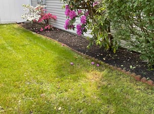 Dolores M.'s Flower Bed Weeding service result