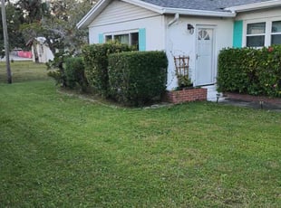 Diana S.'s grass cutting service result