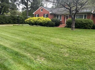 Shawnai S.'s turf maintenance service result