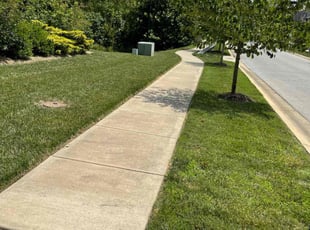 John A.'s lawn maintenance service result