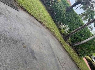 Cedric E.'s lawn care service result