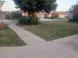 Georgeann F.'s lawn care service result