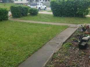 Le T.'s Bush Trimming service result