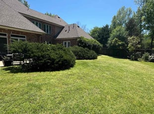 Hailey (.'s turf care service result
