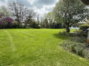 Keith R.'s turf maintenance service result