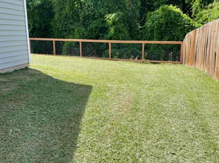 Latisha C.'s lawn service service result