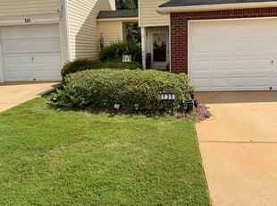 Matt F.'s grass cutting service result