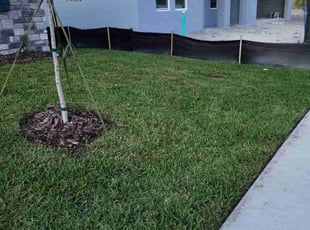 Joseph E.'s turf care service result