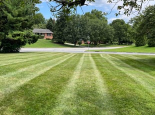 Nisarg P.'s lawn care service result