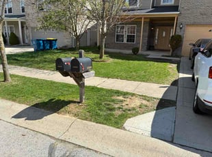 Bobby B.'s lawn maintenance service result