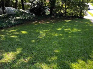 Jolee M.'s grass maintenance service result