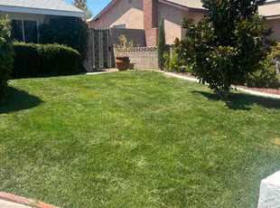 Dan W.'s turf maintenance service result