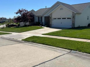 Patrick M.'s turf maintenance service result