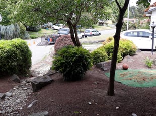 Jeffery E.'s Bush Trimming service result