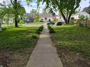 Steve E.'s grass maintenance service result