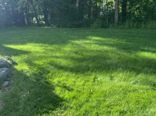 Sharyne K.'s lawn care services service result