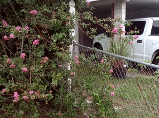 Milton F.'s Bush Trimming service result