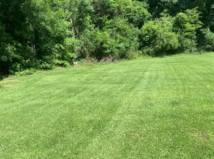 Douglas K.'s lawn service service result