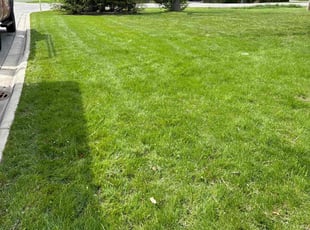 Denise M.'s lawn care service result