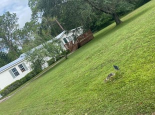 Jessika H.'s turf care service result