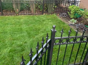 Gu K.'s turf maintenance service result