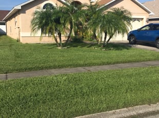 Sharon C.'s grass cutting service result