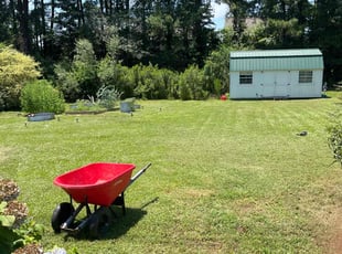 Hazel R.'s yard maintenance service result