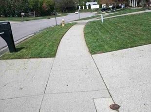 ashley n.'s turf care service result
